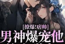 靳酌秦迎夏小说撩爆!痞帅男神爆宠他的小甜妻在线阅读章节-够力荐小说推荐网