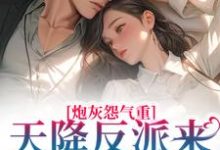 《炮灰怨气重！天降反派来惩戒男主了》全集免费在线阅读（南浔）-够力荐小说推荐网