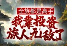 全族都是高手,我靠投资族人无敌了姜道玄在线章节免费阅读-够力荐小说推荐网