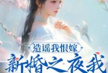 造谣我恨嫁？新婚之夜我火烧你府院木婉云沈阔小说完结版章节在线阅读-够力荐小说推荐网