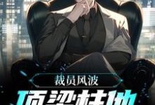 小说《裁员风波:顶梁柱他创业成功了》章节免费阅读-够力荐小说推荐网