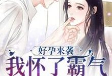 好孕来袭:我怀了霸气军官的崽子小说有没有完整的免费版本在线阅读?-够力荐小说推荐网