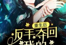 重生后,反手夺回我的贵人命格小说,重生后,反手夺回我的贵人命格最新章节-够力荐小说推荐网