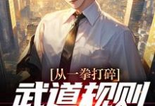小说《从一拳打碎武道规则开始无敌》章节阅读-够力荐小说推荐网
