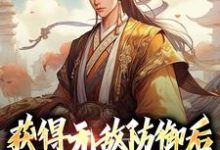小说《获得无敌防御后,我在大清造反》章节阅读-够力荐小说推荐网