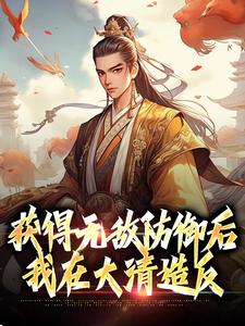 小说《获得无敌防御后，我在大清造反》章节阅读