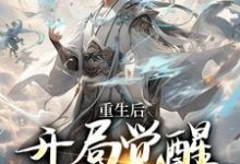 重生后,开局觉醒氪命系统这本小说完结了吗?免费查看最新章节-够力荐小说推荐网