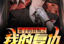 哪里能找到妻子的背叛之我的复仇A计划小说的最新更新和免费章节?-够力荐小说推荐网