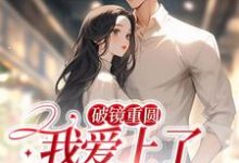 《破镜重圆：我爱上了高门之子》小说大结局免费试读 宋轻臣黎嫚小说-够力荐小说推荐网