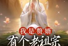 我是赘婿，有个老祖宗娘子很合理吧这本小说怎么样？免费在线阅读试试-够力荐小说推荐网