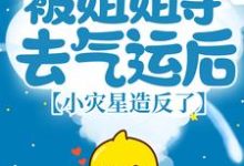 被姐姐夺去气运后,小灾星造反了这本小说在哪里可以看?哪里有免费试读章节?-够力荐小说推荐网
