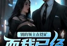 完结版《别的领主在挖矿,而我已经开飞艇》章节阅读-够力荐小说推荐网