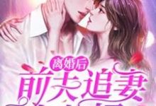 离婚后，前夫追妻火葬场姜晚清傅谨言，离婚后，前夫追妻火葬场在线无弹窗阅读-够力荐小说推荐网