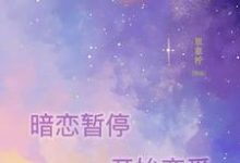 暗恋暂停，开始恋爱最新章节，暗恋暂停，开始恋爱章节在线阅读-够力荐小说推荐网