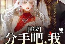 在线寻找追妻:分手吧,我不哄你了小说的无删减版本-够力荐小说推荐网