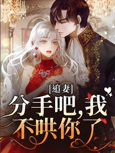 在线寻找追妻：分手吧，我不哄你了小说的无删减版本