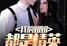 我的姐姐都是精英这本小说在哪里可以看？哪里有免费试读章节？-够力荐小说推荐网
