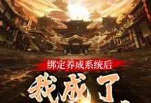 绑定养成系统后,我成了无上神帝叶辰洛清梦,绑定养成系统后,我成了无上神帝章节在线阅读-够力荐小说推荐网