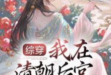 综穿:我在清朝后宫当娘娘小说完结版章节免费阅读-够力荐小说推荐网