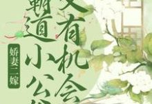 娇妻二嫁:霸道小公爷又有机会啦免费阅读,娇妻二嫁:霸道小公爷又有机会啦章节目录-够力荐小说推荐网