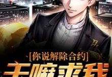 陆洲小说你说解除合约，干嘛求我回去在线阅读-够力荐小说推荐网