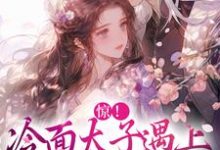 小说《惊!冷面太子遇上刁蛮女杀手》在线章节阅读-够力荐小说推荐网