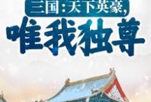 三国：天下英豪，唯我独尊！李元，三国：天下英豪，唯我独尊！最新章节-够力荐小说推荐网