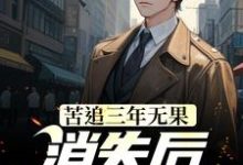 江阳苏清妍小说在线章节免费阅读(苦追三年无果,消失后,她却疯了无弹窗无删减)-够力荐小说推荐网