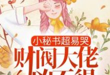 小秘书超易哭,财阀大佬凶不得!小说阅读,小秘书超易哭,财阀大佬凶不得!完结版-够力荐小说推荐网