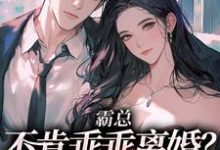 寻找霸总不肯乖乖离婚？我用钱砸死他小说的最新更新章节-够力荐小说推荐网