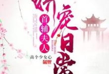 首辅夫人娇宠日常苏念念陆寒川小说大结局免费试读-够力荐小说推荐网