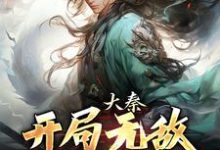 大秦:开局无敌,爆爽横推!最新章节,大秦:开局无敌,爆爽横推!章节在线阅读-够力荐小说推荐网