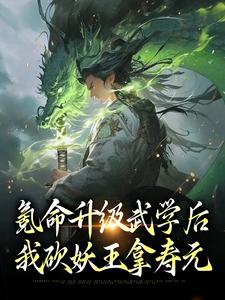 氪命升级武学后，我砍妖王拿寿元免费阅读，氪命升级武学后，我砍妖王拿寿元秦霄尧
