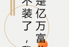 不装了，我是亿万富翁小说的所有章节都能在哪里免费读到？-够力荐小说推荐网