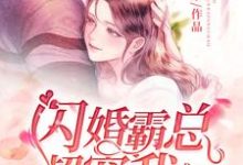 闪婚霸总超宠我小说有没有完结版在线？-够力荐小说推荐网