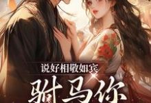 完结版《说好相敬如宾，驸马你干嘛宽衣》在线免费阅读-够力荐小说推荐网