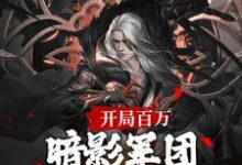 开局百万暗影军团！缔造不朽帝朝（楚渊渊帝）在线免费阅读-够力荐小说推荐网