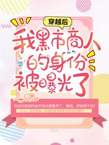 洛洛小说在线章节免费阅读（穿越后，我黑市商人的身份被曝光了无弹窗无删减）