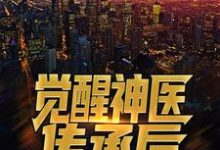 哪里可以免费找到觉醒神医传承后,拿女神试手?-够力荐小说推荐网