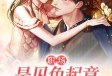 在线免费阅读职场：是见色起意也是长相厮守完整小说-够力荐小说推荐网