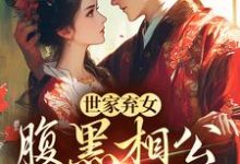 世家弃女，腹黑相公宠不停小说的免费电子版在哪里可以下载或阅读？-够力荐小说推荐网