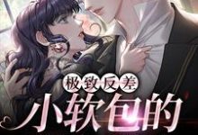 完结版《极致反差：小软包的疯批老公》免费阅读-够力荐小说推荐网