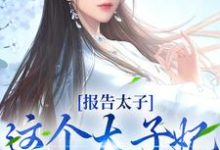 报告太子:这个太子妃好眼熟这本小说在哪里可以看?哪里有免费试读章节?-够力荐小说推荐网