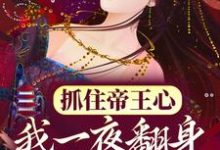 抓住帝王心，我一夜翻身成宠妃小说全文哪里可以免费看？-够力荐小说推荐网
