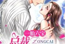 一胎六宝:总裁用力过猛最新章节,一胎六宝:总裁用力过猛免费阅读-够力荐小说推荐网