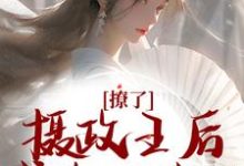 免费看撩了摄政王后,我跑不掉了小说的网站有哪些?-够力荐小说推荐网