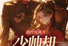 小说《我拎包离开，少帅却穷追不舍》章节免费阅读-够力荐小说推荐网