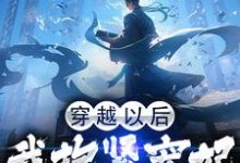 穿越以后,我抱紧宠妃姐姐的大腿小说的最新章节在哪里更新?免费追踪阅读-够力荐小说推荐网