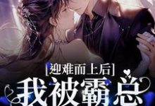 迎难而上后,我被霸总狠狠宠爱免费阅读,迎难而上后,我被霸总狠狠宠爱陆廷澈苏小曼-够力荐小说推荐网