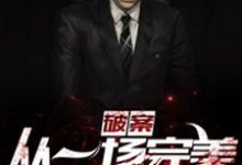 已完结小说《破案:从一场完美犯罪开始!》在线章节阅读-够力荐小说推荐网